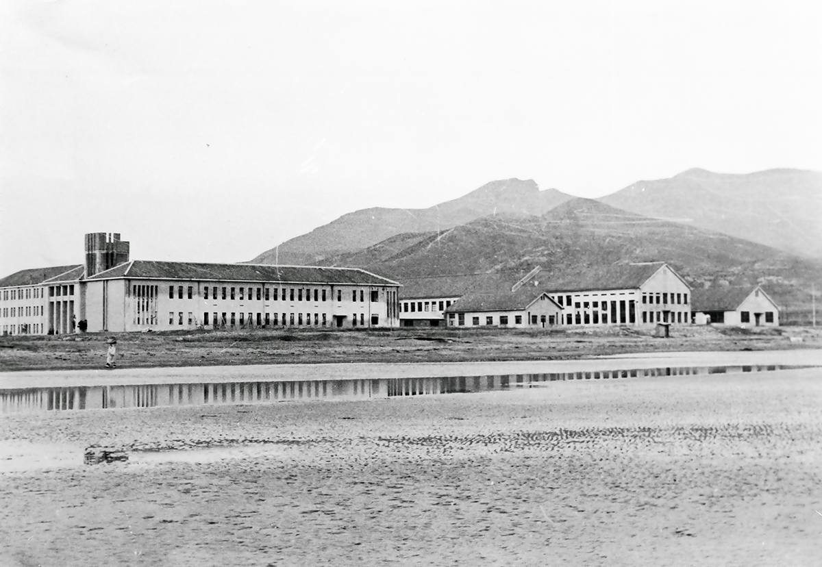 첨부이미지