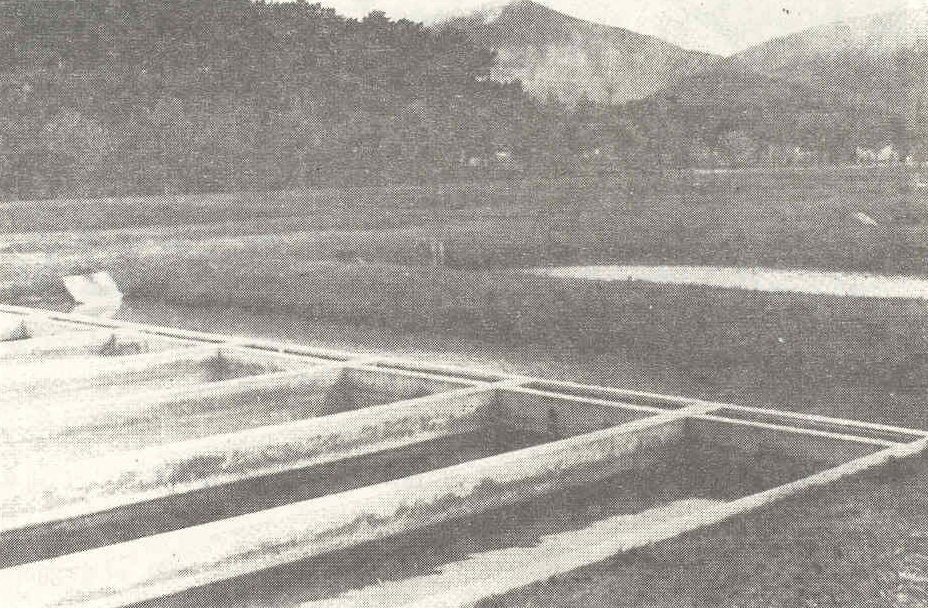 첨부이미지